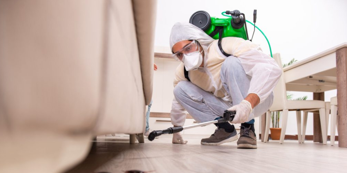 Pest Control Cleaning
