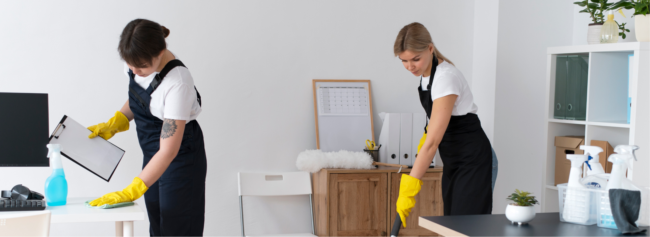Professional Cleaning Services